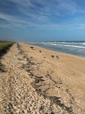 Canaveral National Seashore