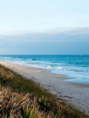 Canaveral National Seashore