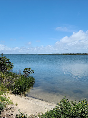 Turtle Mound